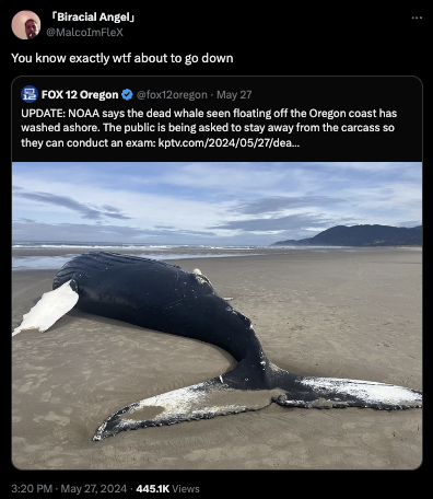 Nehalem Bay State Park - Biracial Angel You know exactly wtf about to go down Fox 12 Oregon May 27 Update Noaa says the dead whale seen floating off the Oregon coast has washed ashore. The public is being asked to stay away from the carcass so they can co